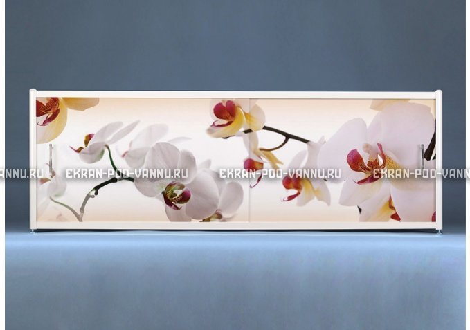 Раздвижной ФОТО экран - Orchid – купить по цене 8500 руб. в интернет-магазине в городе Йошкар-Ола картинка 1
