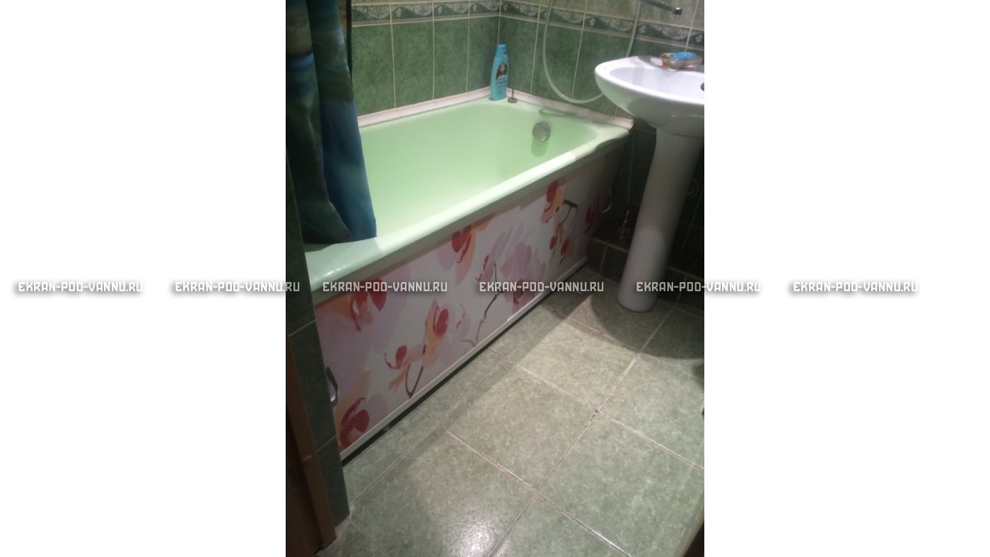Раздвижной ФОТО экран - Orchid – купить по цене 8500 руб. в интернет-магазине в городе Йошкар-Ола картинка 18