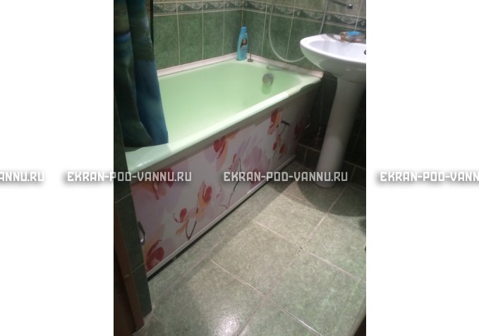 Раздвижной ФОТО экран - Orchid – купить по цене 8500 руб. в интернет-магазине в городе Йошкар-Ола картинка 5