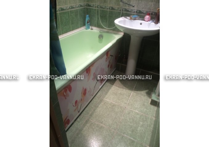 Раздвижной ФОТО экран - Orchid – купить по цене 8500 руб. в интернет-магазине в городе Йошкар-Ола картинка 6