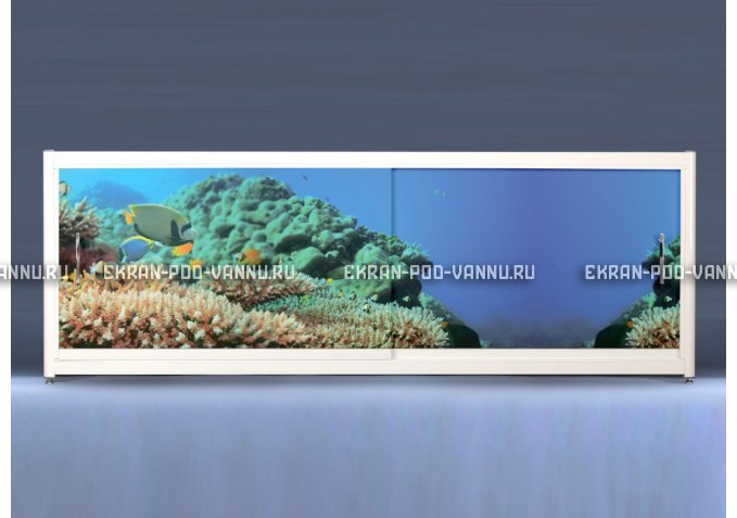 Экран на роликах EUROPLEX Коралловые рифы – купить по цене 12400 руб. в интернет-магазине в городе Йошкар-Ола картинка 1